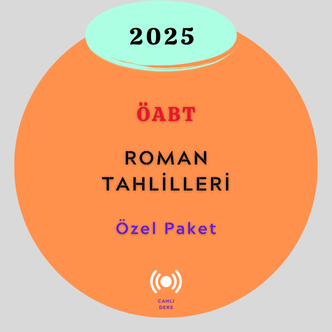 2025-ROMAN TAHLİLİ