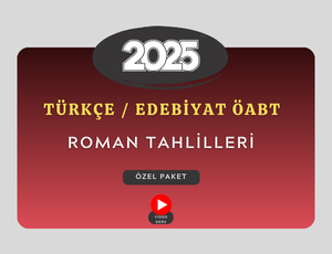 2025-ROMAN TAHLİLİ