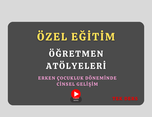 2026 Erken Çocukluk Döneminde Cinsel Gelişim Tek Ders (Mehmet YILMAZ)